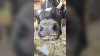 Stationary TMR Mixer New